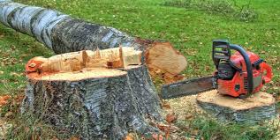 Best Tree Removal  in Battle Ground, WA